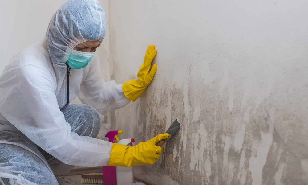 should you handle mould removal yourself or call the experts