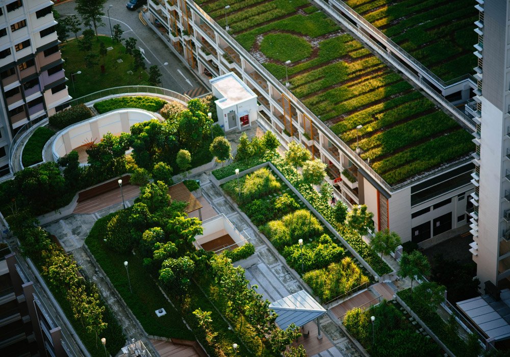 climate adaptive design new builds